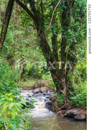 Near Africas rift valley 126705750