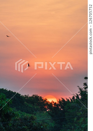 Sunset in Western Tanzania Sunset in Western Tanzania 126705752