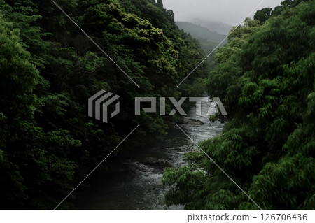 <素材> 雨季雨水淹沒的溪流與森林景觀 126706436
