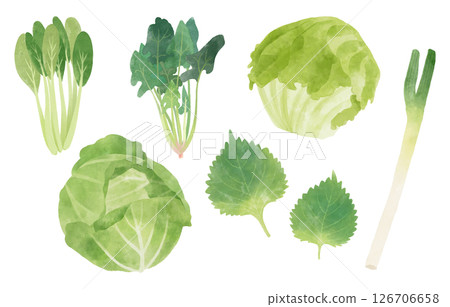 Gentle green vegetable set (cabbage, lettuce, komatsuna, spinach, shiso leaves, white onion) Gentle green vegetable set (cabbage, lettuce, komatsuna, spinach, shiso leaves, white onion) 126706658