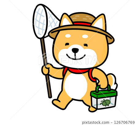 柴犬用網子和籃子出去捕捉昆蟲 126706769
