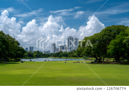 A serene landscape of spacious park lawns and blue skies 126706774