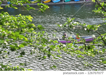 千鳥淵上漂浮著一對情侶劃著的小船 126707077