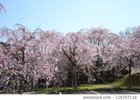 Takanezawa Genki Up Village Roadside Station #82 126707118