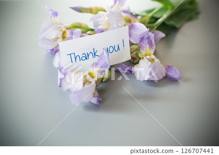 Spring irises in a minimalist composition 126707441