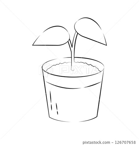 雙葉花盆的簡單線條畫插圖 雙葉花盆的簡單線條畫插圖 126707658