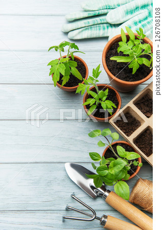 Gardening tools and seedlings on rustic wooden table promoting sustainable living 126708108