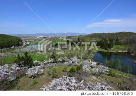 Spring scenery from the observation deck at the northern limit of Somei-Yoshino cherry blossoms 126708160