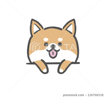 A Shiba Inu popping out 126708338