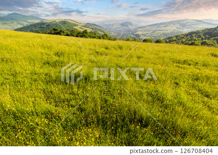 mountainous countryside of ukraine in summer. wide grassy pasture on the hill in morning light. scenic rural landscape of transcarpathia on a bright sunny weather 126708404