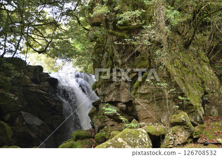 Minamioguni's Meoto Falls and Otoko Falls Minamioguni's Meoto Falls and Otoko Falls 126708532