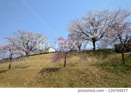 Takanezawa Genki Up Village Roadside Station #91 126708977