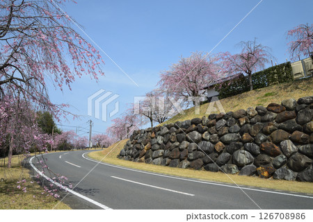 Takanezawa Genki Up Village Roadside Station #100 126708986