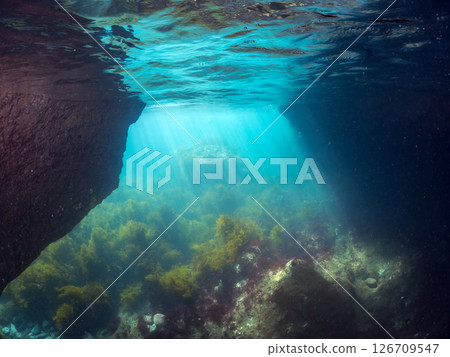 Beautiful half-surface photography of the underwater cave at Hirizo Beach Blue Cave Hirizo Beach Nakagi Minamiizu Town Izu Peninsula Shizuoka Prefecture 2024 Beautiful half-surface photography of the underwater cave at Hirizo Beach Blue Cave Hirizo Beach Nakagi Minamiizu Town Izu Peninsula Shizuoka Prefecture 2024 126709547