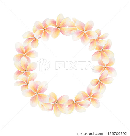 Pastel Plumeria flower round wreath. Hand drawn sticker watercolor illustration isolated on white. Frangipani botanical clip art in pink and yellow colors for fragrant label templates with copy space 126709792