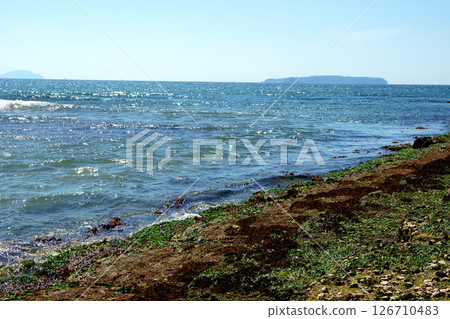 Fukuma Fishing Port Seaside Park, Fukutsu City, Fukuoka Prefecture 126710483