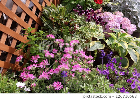 Pink flower arrangement and pot 126710568