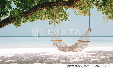 Romantic beach swing hammock over white sand 126710759