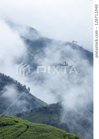 Landscape of Morning Mist with Mountain Layer. mountain ridge and clouds in rural jungle bush forest Landscape of Morning Mist with Mountain Layer. mountain ridge and clouds in rural jungle bush forest 126711048