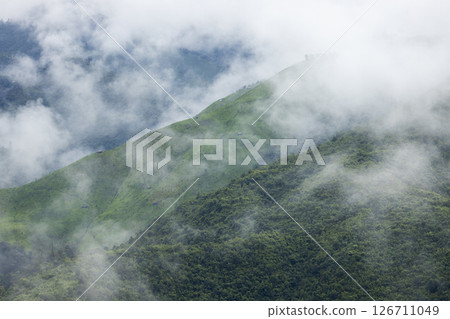 Landscape of Morning Mist with Mountain Layer. mountain ridge and clouds in rural jungle bush forest 126711049