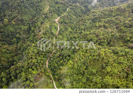 Landscape of Morning Mist with Mountain Layer. mountain ridge and clouds in rural jungle bush forest Landscape of Morning Mist with Mountain Layer. mountain ridge and clouds in rural jungle bush forest 126711094