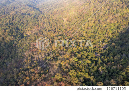 Scenic topdown shot of a deciduous forest changing leaves at the height of autumn. Picturesque flying view of the vibrant Scenic topdown shot of a deciduous forest changing leaves at the height of autumn. Picturesque flying view of the vibrant 126711105