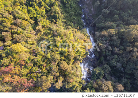 Scenic topdown shot of a deciduous forest changing leaves at the height of autumn. Picturesque flying view of the vibrant 126711107