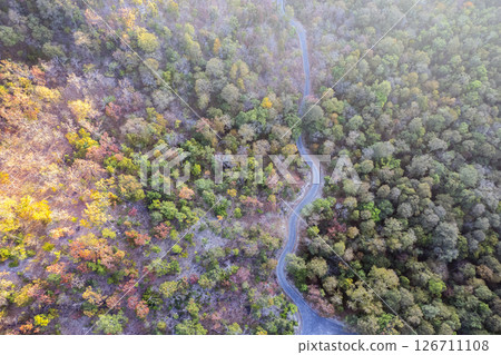 Scenic topdown shot of a deciduous forest changing leaves at the height of autumn. Picturesque flying view of the vibrant Scenic topdown shot of a deciduous forest changing leaves at the height of autumn. Picturesque flying view of the vibrant 126711108