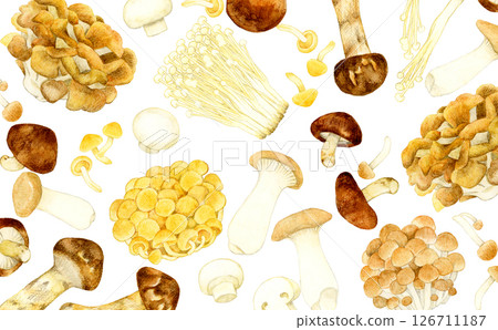 Edible mushroom background Hand-drawn watercolor illustration of vegetables Edible mushroom background Hand-drawn watercolor illustration of vegetables 126711187