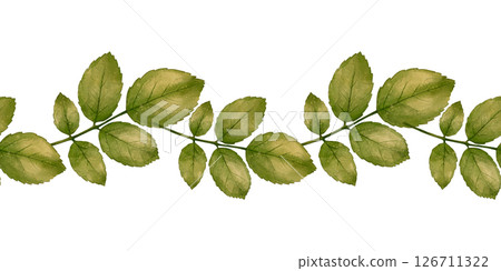 Watercolor border with green leaves 126711322