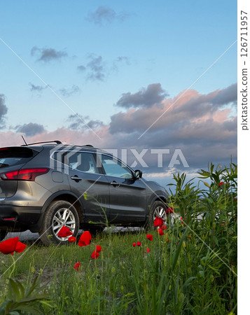 SUV on Rural Road with Poppies and Blue Sky 126711957