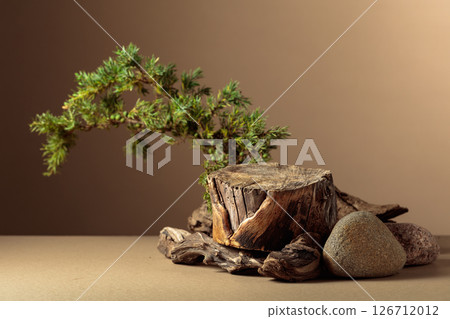 Composition with natural wooden snags, stones and juniper branches. Composition with natural wooden snags, stones and juniper branches. 126712012