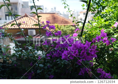 從那霸福州園眺望城市景觀 126712034