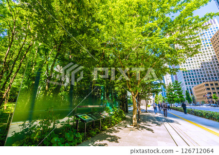 Tokyo cityscape in Japan, overlooking Otemachi Forest, etc. = May 28, Otemachi 126712064