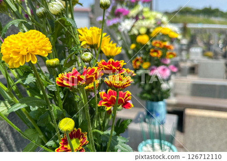 a visit to a grave  126712110