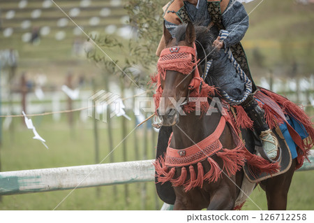 相馬野馬追:福島縣南相馬市的裝飾馬 相馬野馬追:福島縣南相馬市的裝飾馬 126712258