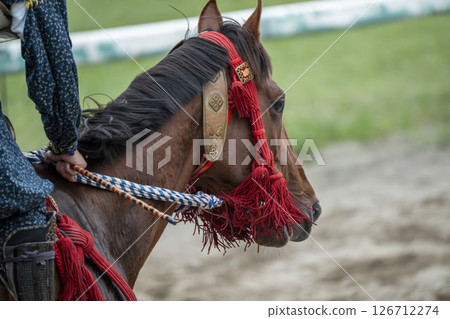 相馬野馬追：福島縣南相馬市的裝飾馬 126712274