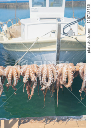 Sun dried fish Sun dried fish 126712586