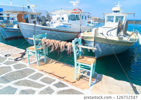 Sun dried fish 126712587