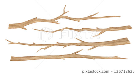 Watercolor tree branches set isolated on white background. Hand painted illustration, wooden twig Watercolor tree branches set isolated on white background. Hand painted illustration, wooden twig 126712623
