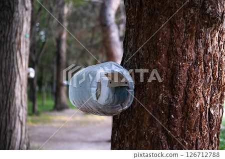 Beautiful birdhouse on a tree for birds Beautiful birdhouse on a tree for birds 126712788