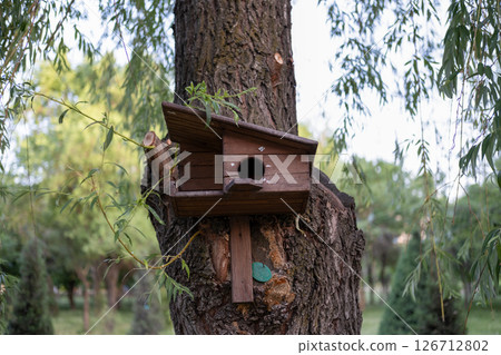 Beautiful birdhouse on a tree for birds Beautiful birdhouse on a tree for birds 126712802