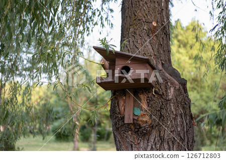 Beautiful birdhouse on a tree for birds Beautiful birdhouse on a tree for birds 126712803