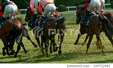 Racehorses in a line gallop up to the Winning Line together, freeze motion Racehorses in a line gallop up to the Winning Line together, freeze motion 126712897