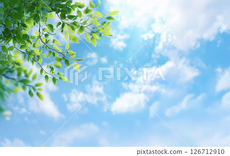 Fresh green sky 126712910