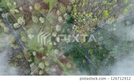 Aerial View of Asphalt Road in High Mountain Landscape , Madeira Island , Portugal 126712912