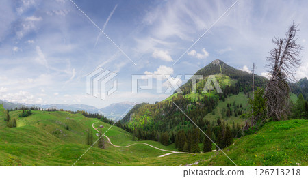 Alpine meadow with cows and rustic houses in Berchtesgaden National Park 126713218