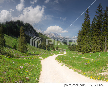 Mountain valley with tracks near Jenner mount in Berchtesgaden National Park 126713220