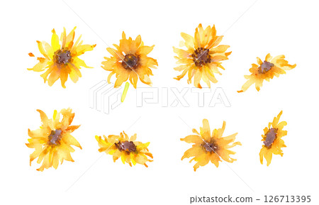 水彩。帶有水彩畫風格的向日葵插圖。向日葵向量素材。夏季向日葵框架。 126713395
