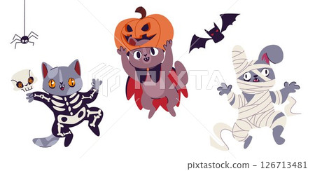 Halloween pet costumes 126713481
